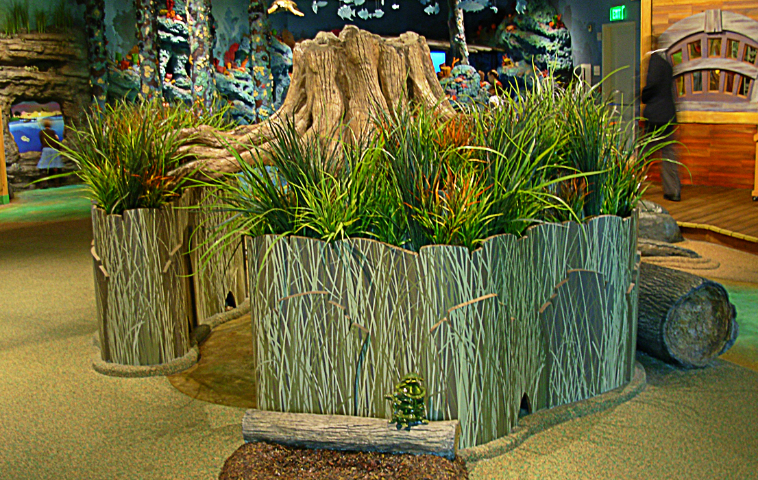 Fernbank NHM, ATL, GA
