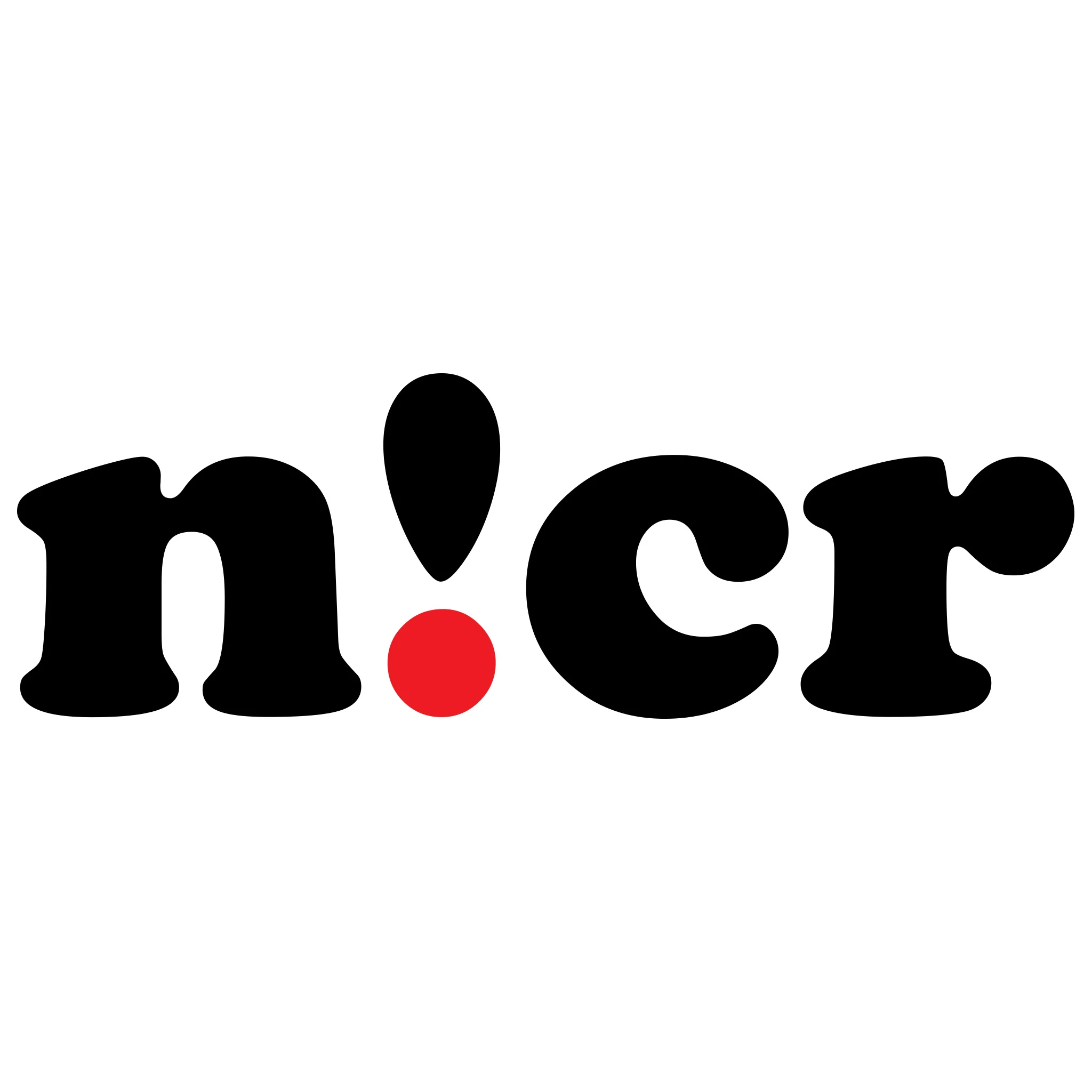 nic.cr brand identity