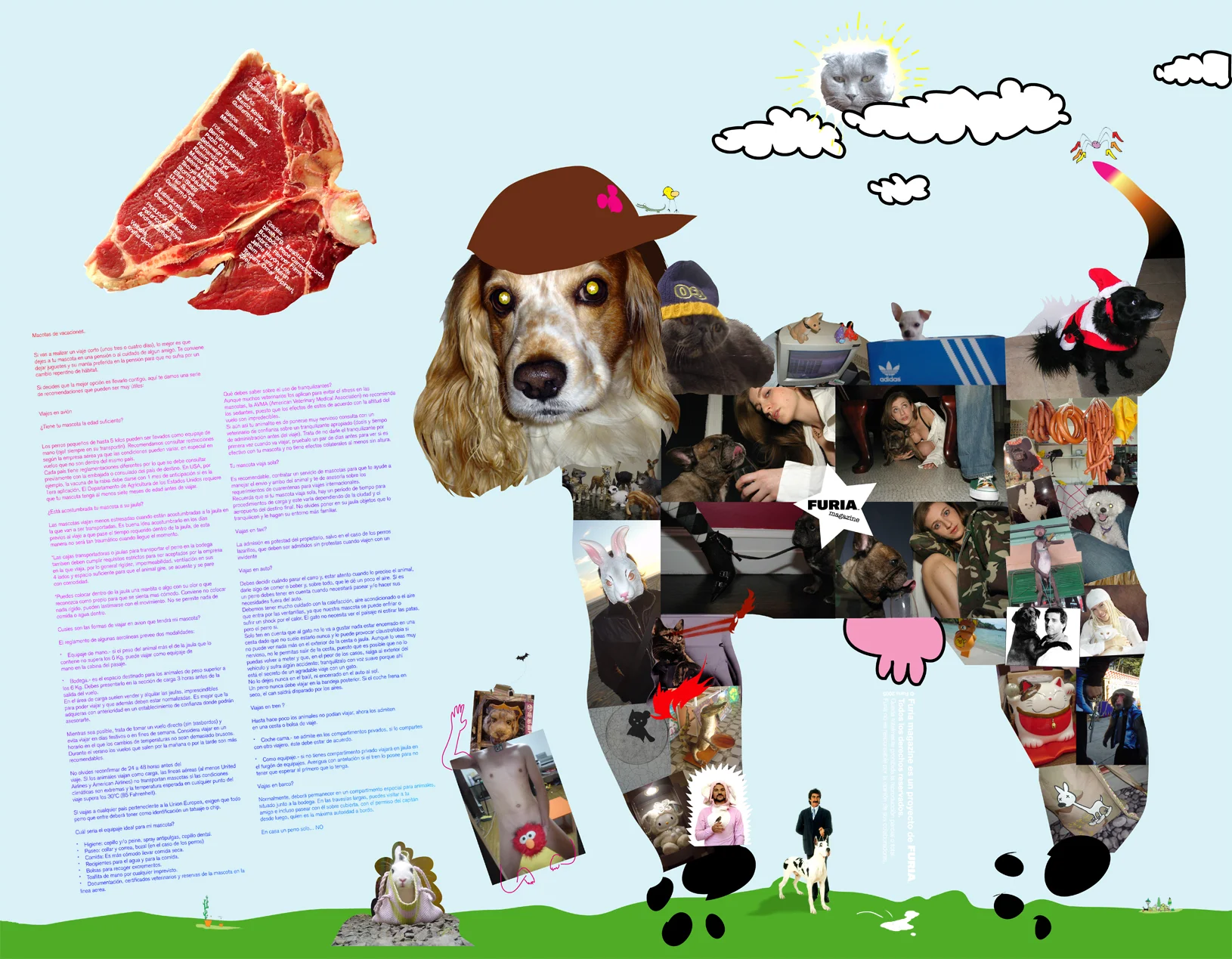 ds_pets.jpg