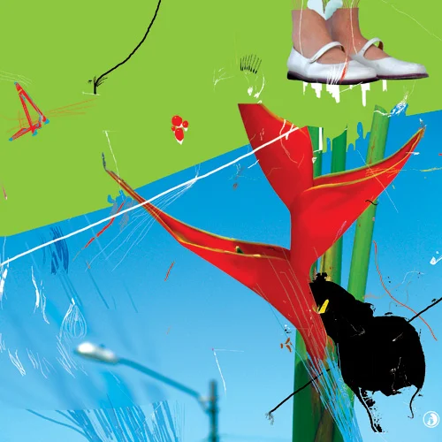 heliconia.jpg