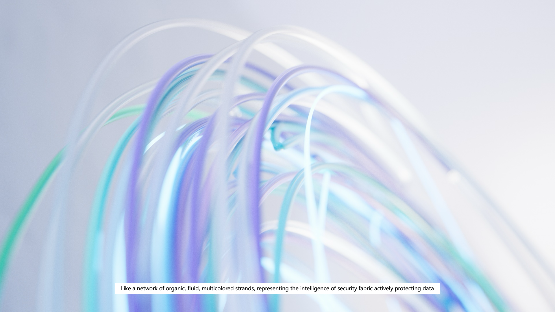 Slide4.png