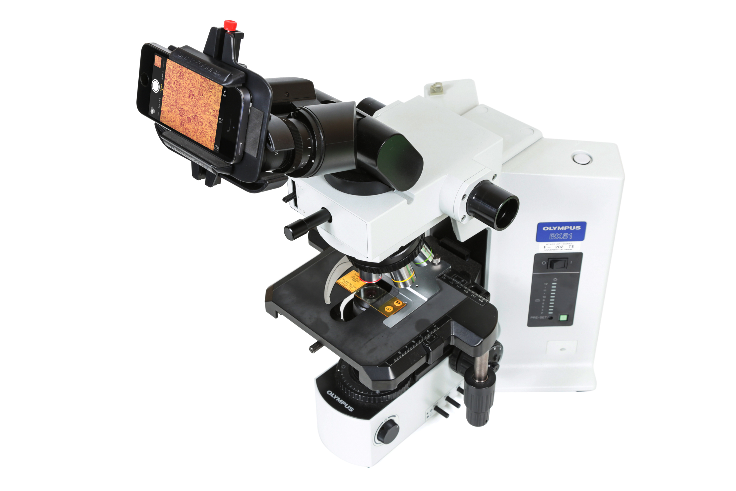 snapzoom universal binocular tripod mount