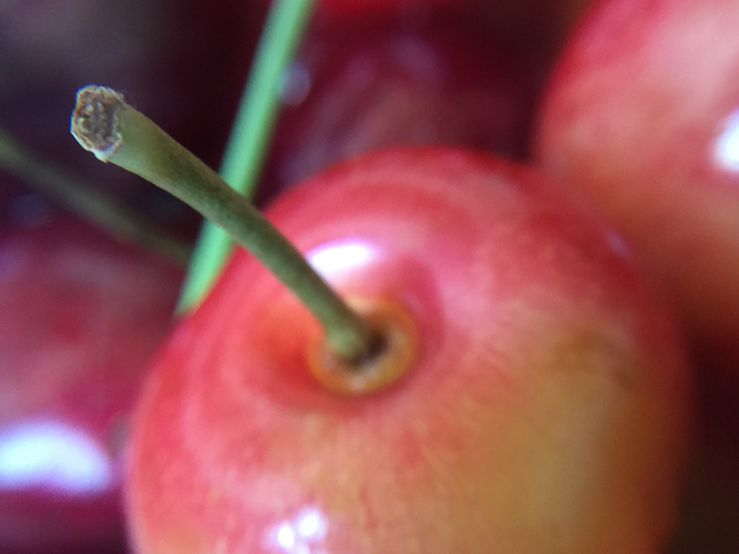 And ended up with some fun macro shots of one of our favorite summer snacks!