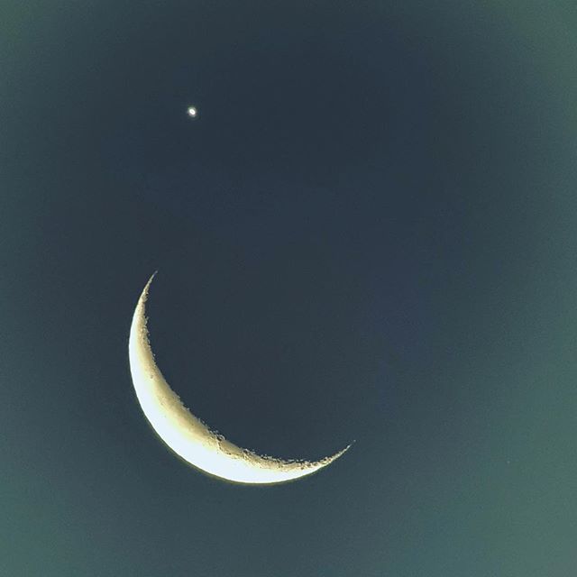??moon this morning captured with the #Snapzoom adapter, a #swarovskioptik #spottingscope , and an #iPhone xsMax. #moon #astrophotography #digiscoping, #shotoniphone, #shotoniphonexsmax, #hawaiisbestphotos