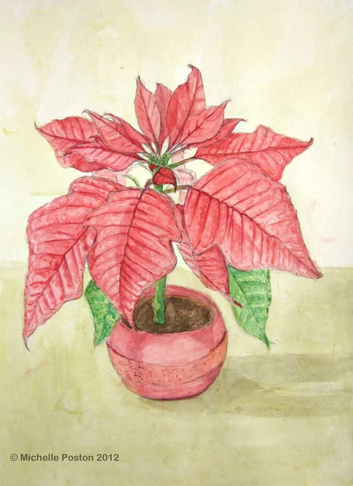 Poinsettia