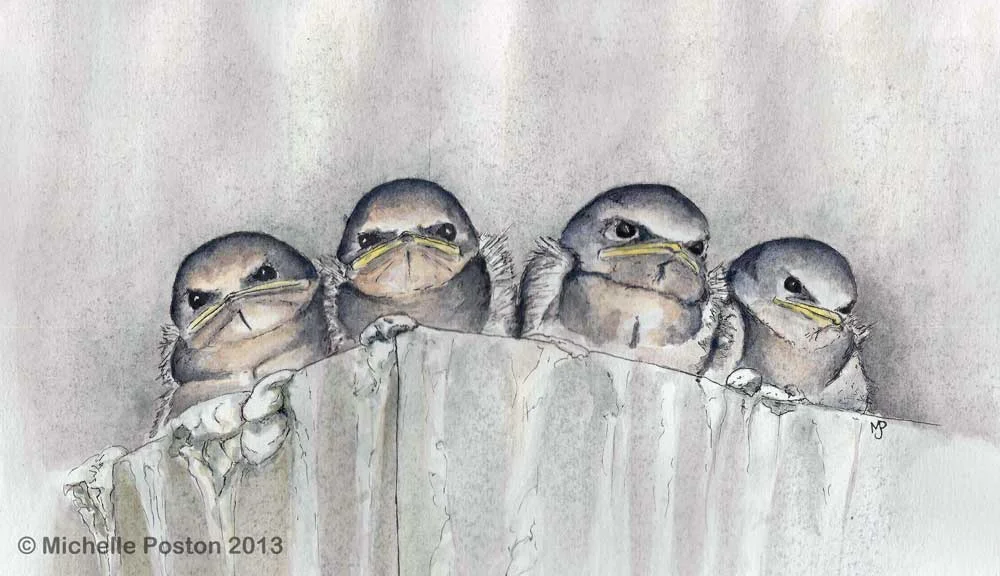 Angry Birds