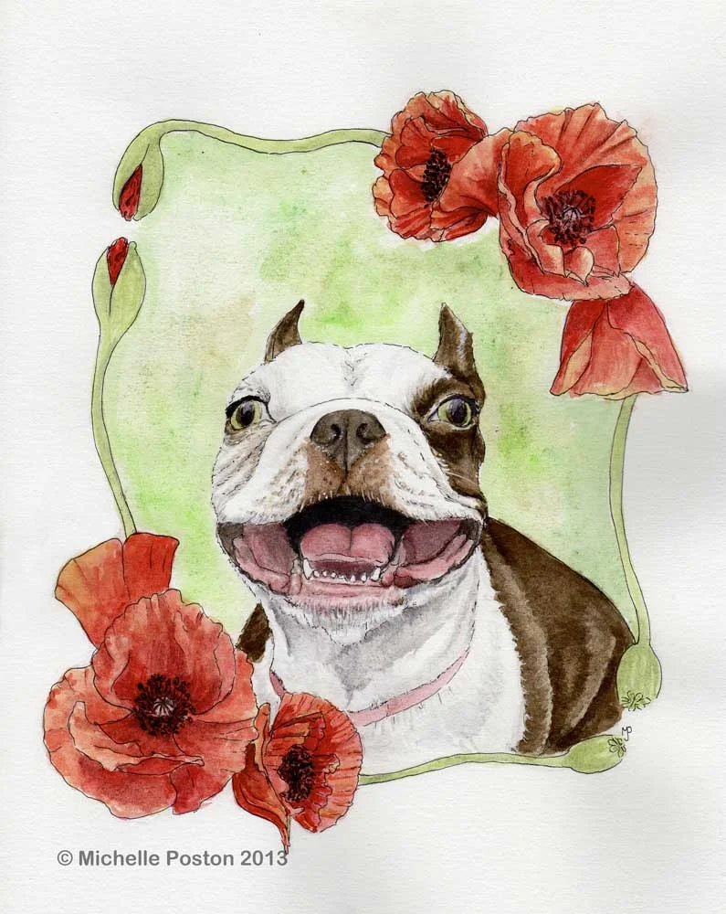 Poppy
