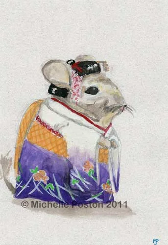Geisha Chinchilla