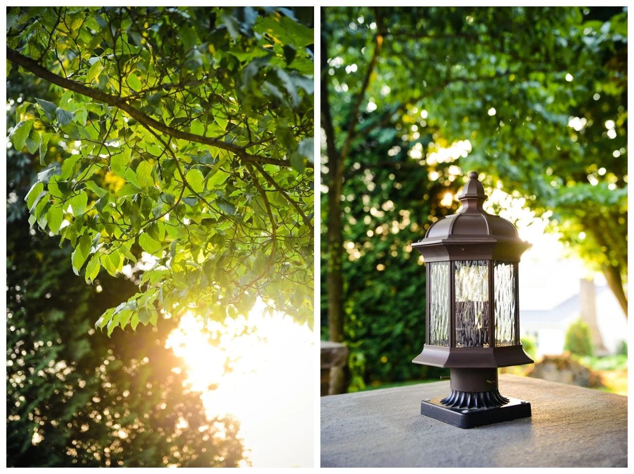 summerhousephotography.jpg