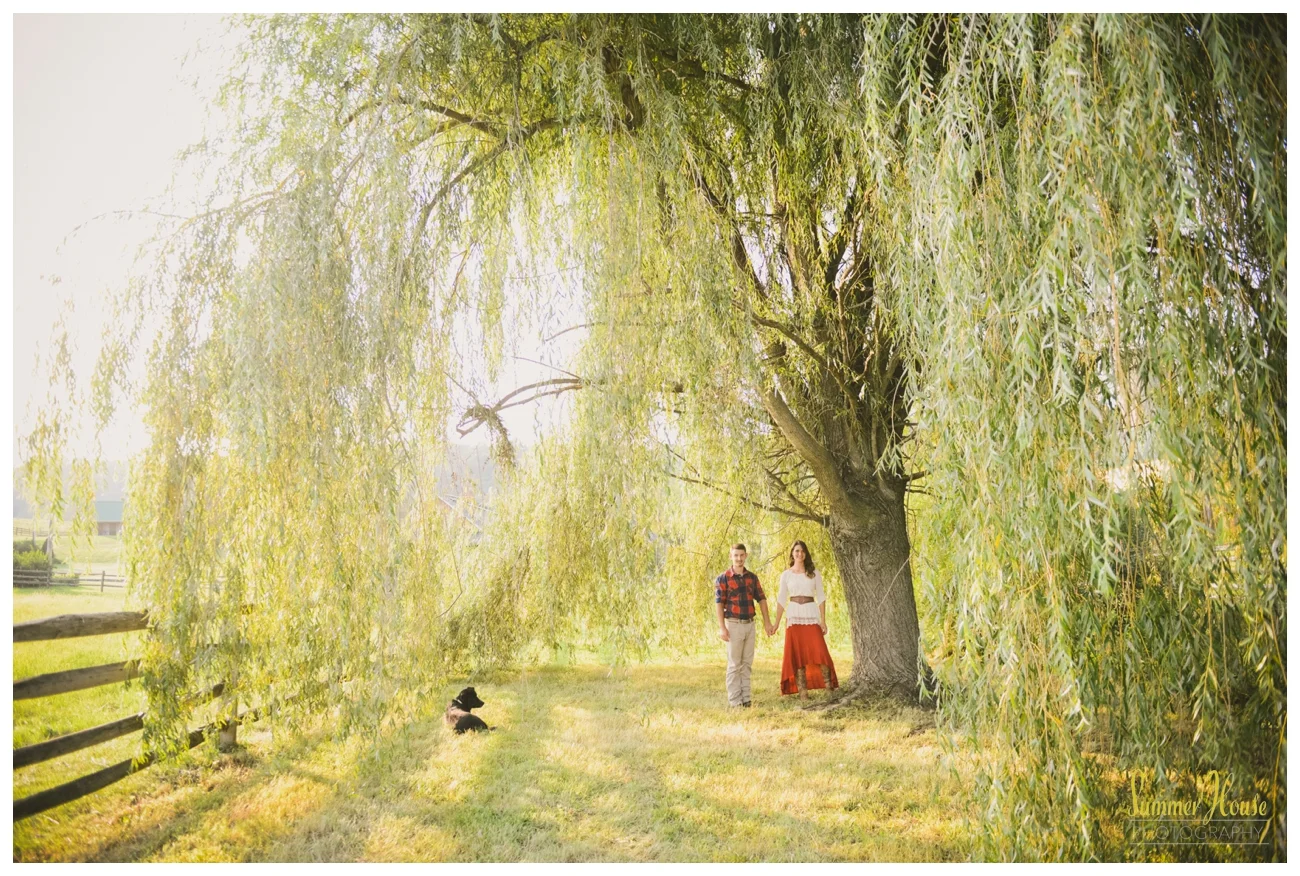summerhousephotography.jpg