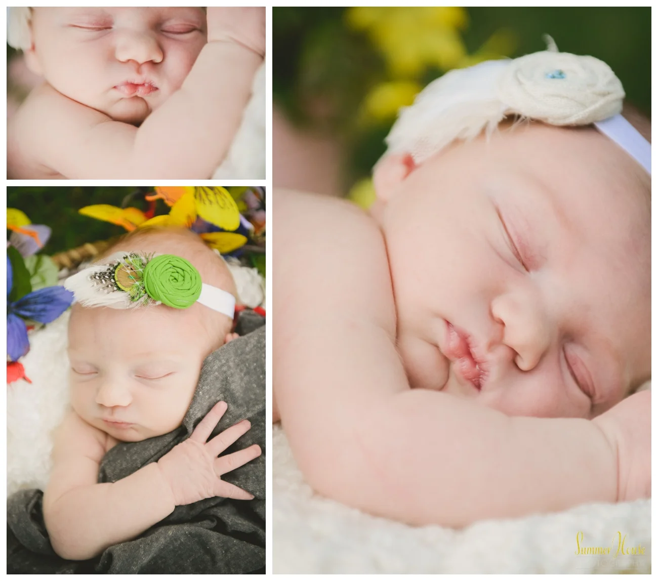 summerhousephotography.jpg