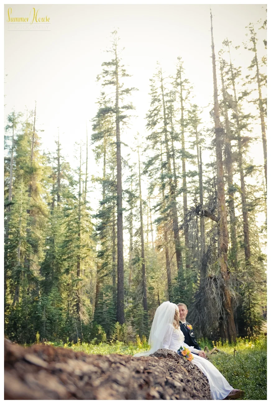 summerhousephotography.jpg