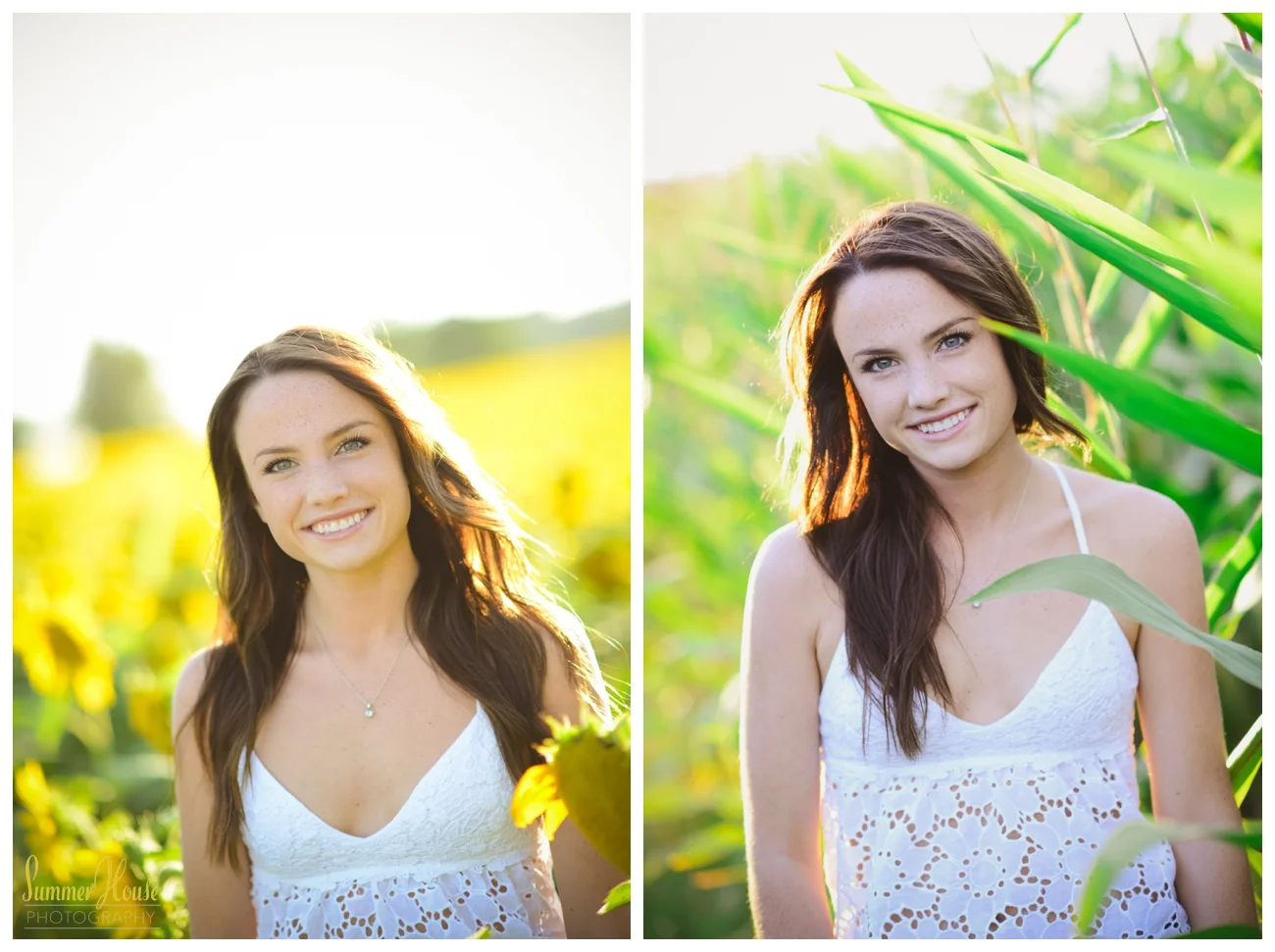 summerhousephotography.jpg