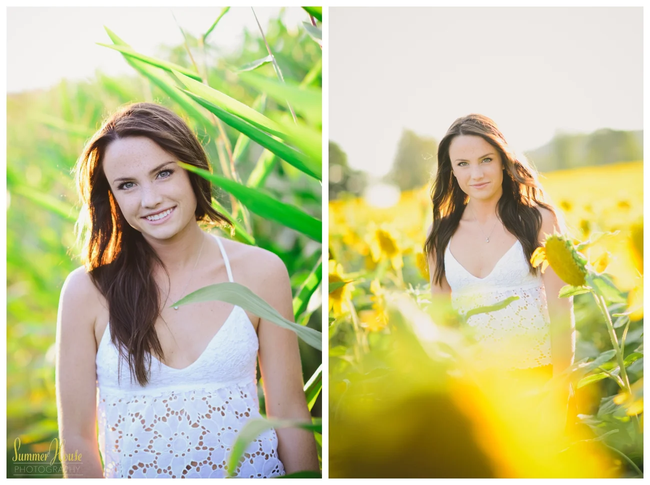 summerhousephotography.jpg
