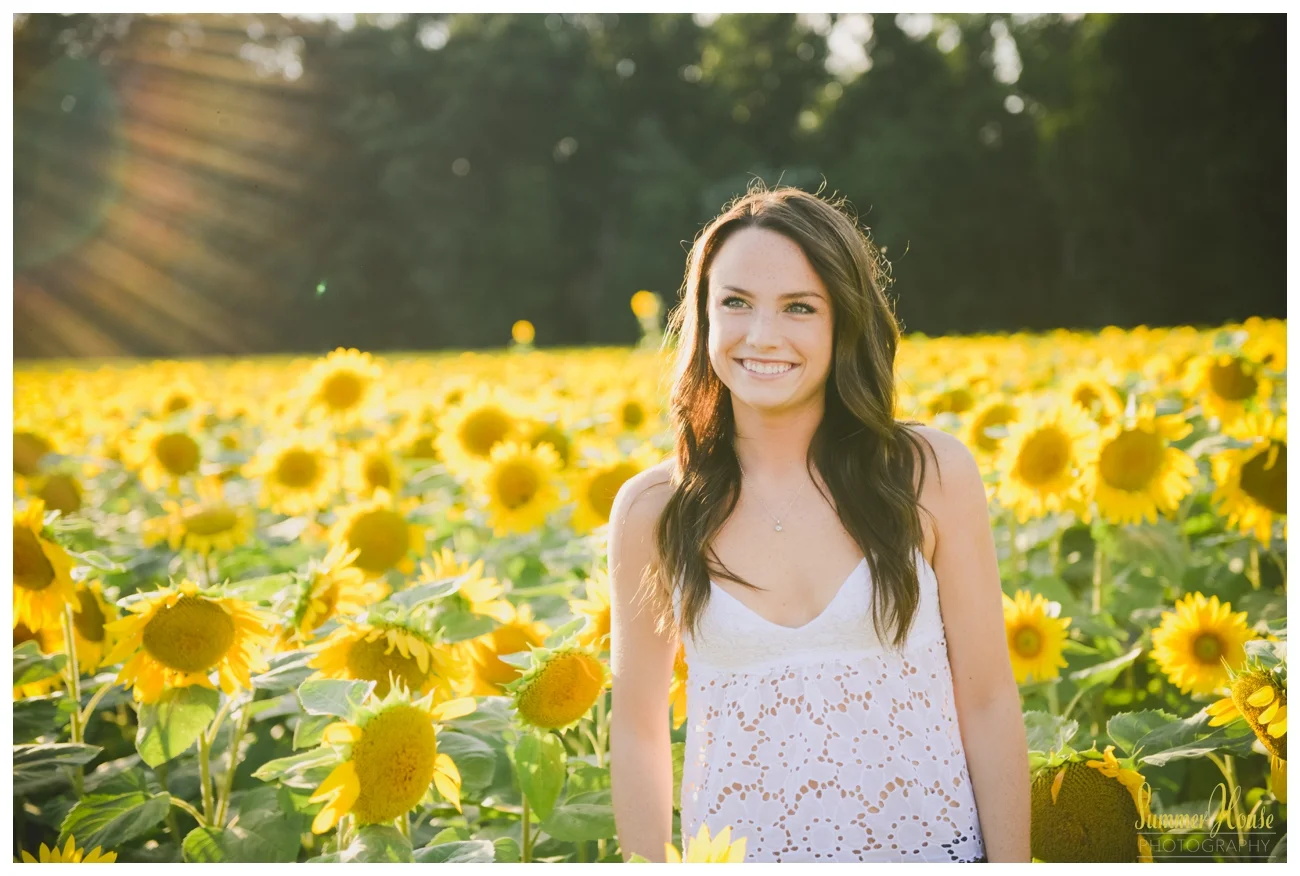 summerhousephotography.jpg