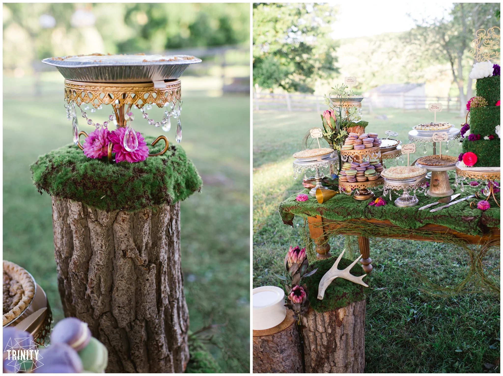 ZIMMER-wedding-WEB-6350_WEBstomped.jpg