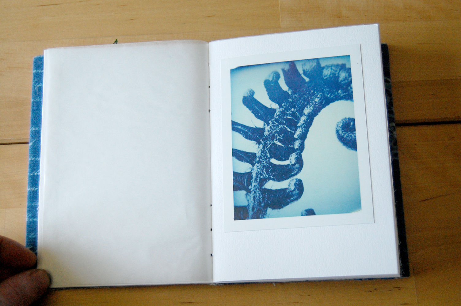  originals are black and white, &nbsp;the beautiful blue cast comes from the polaroid camera/fuji film. 