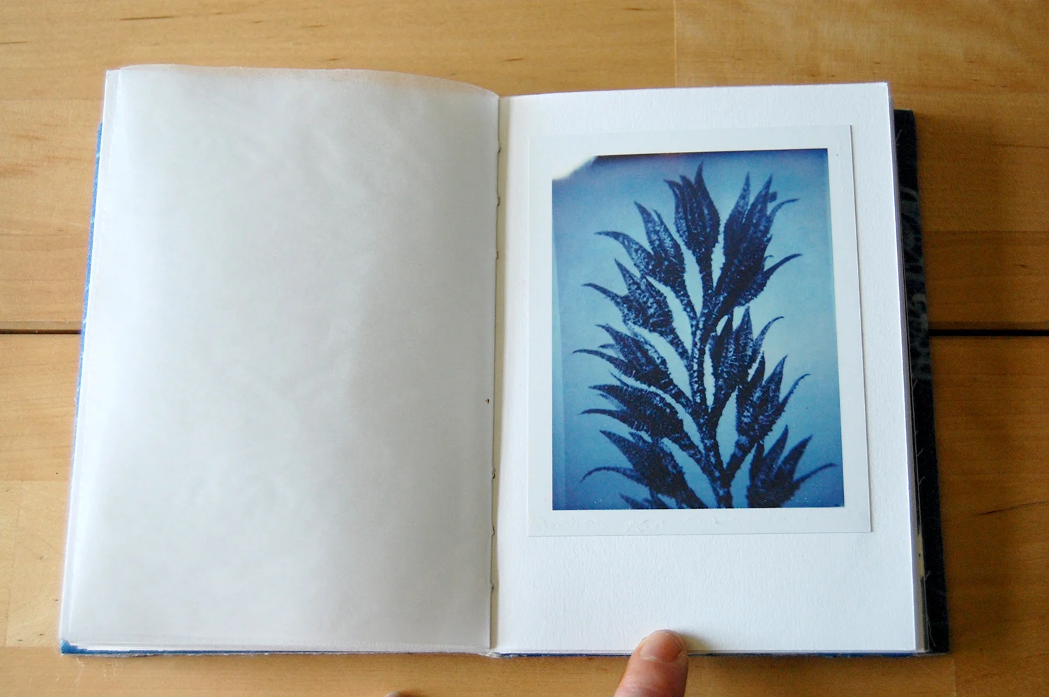 catalogue8.jpg