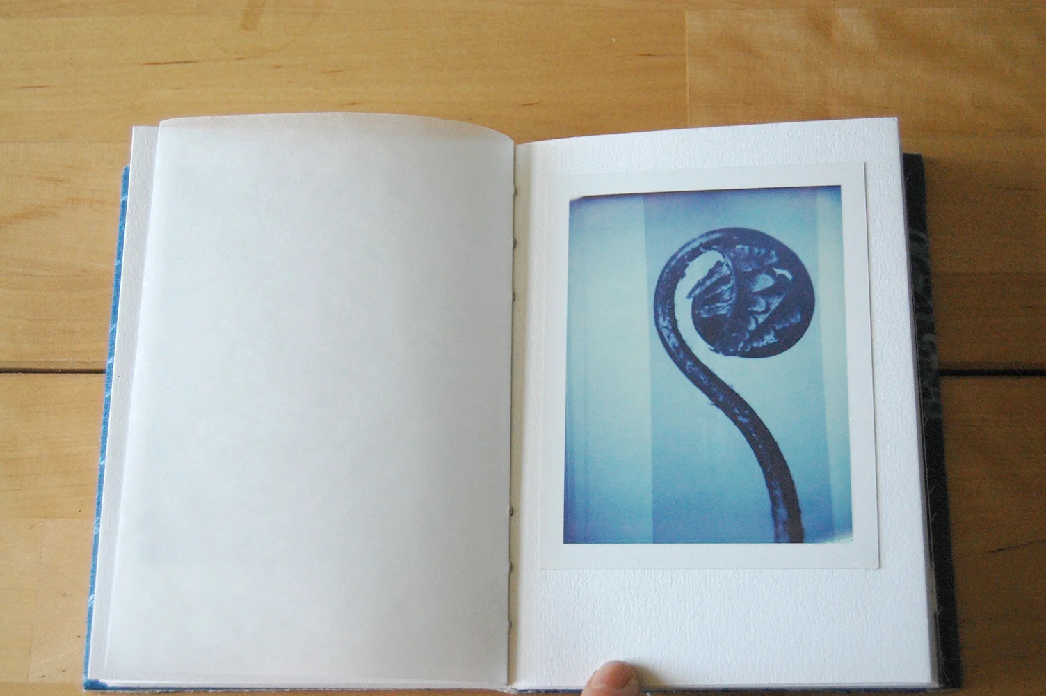 catalogue9.jpg