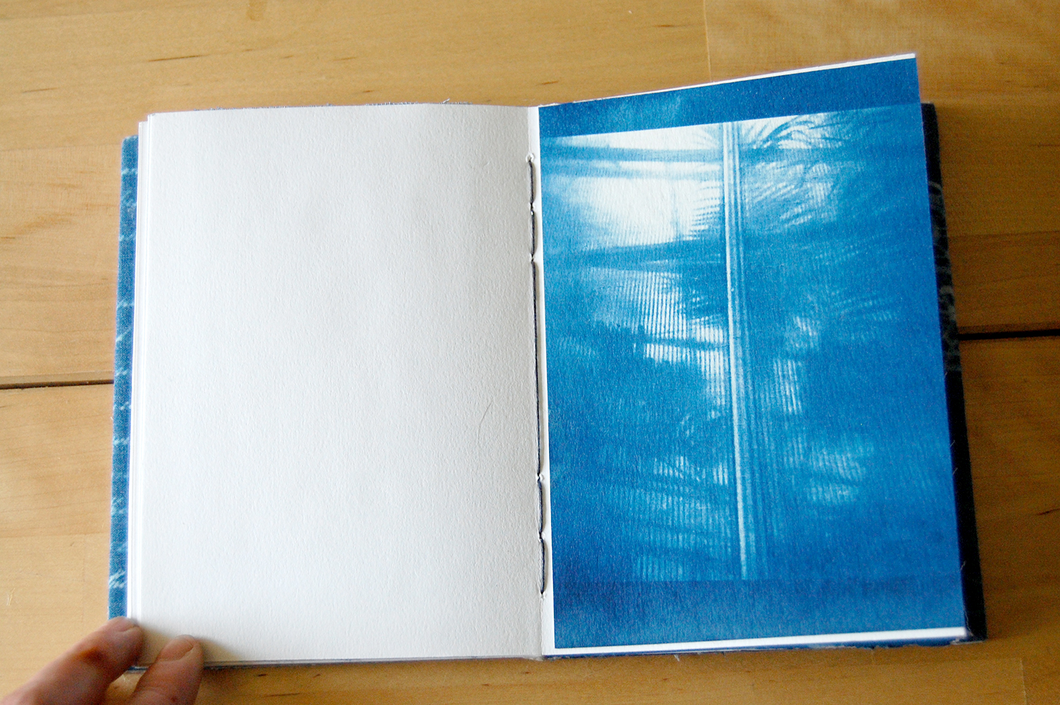  ​cyanotype print on paper. original photography. 