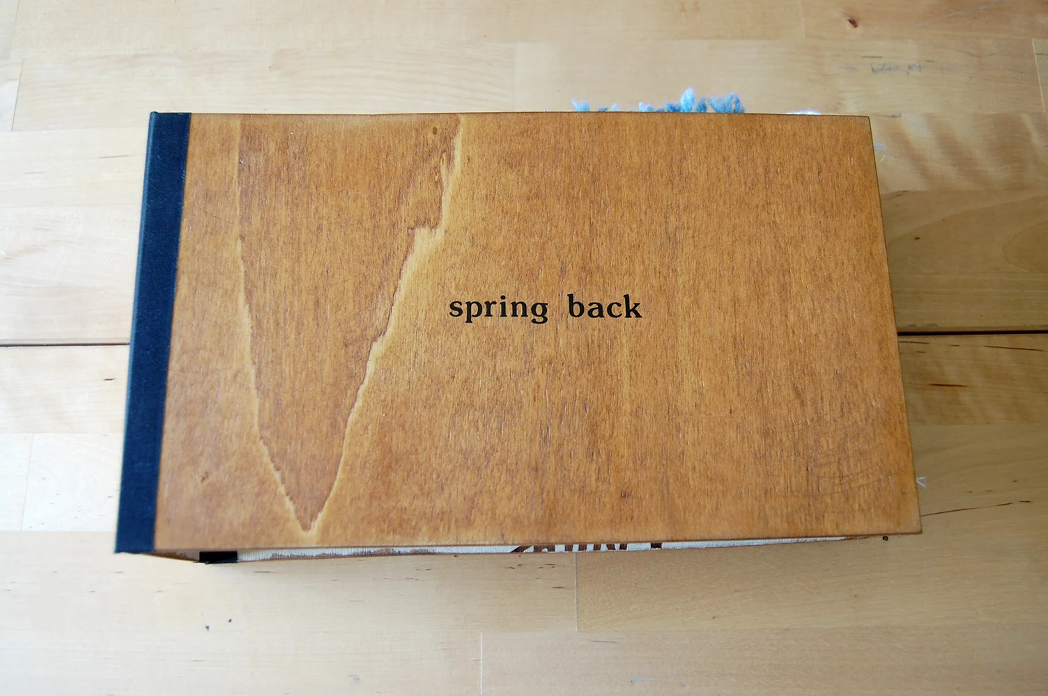 spring back fall forward