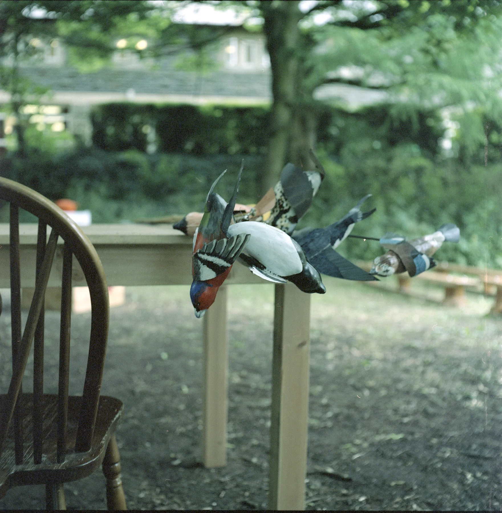 rollei-portra-120-7.jpg