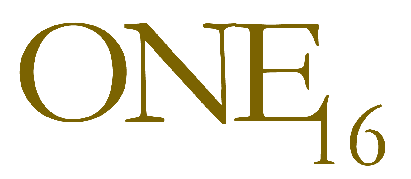 ONE16 logo slide fam meeting 2014.jpg