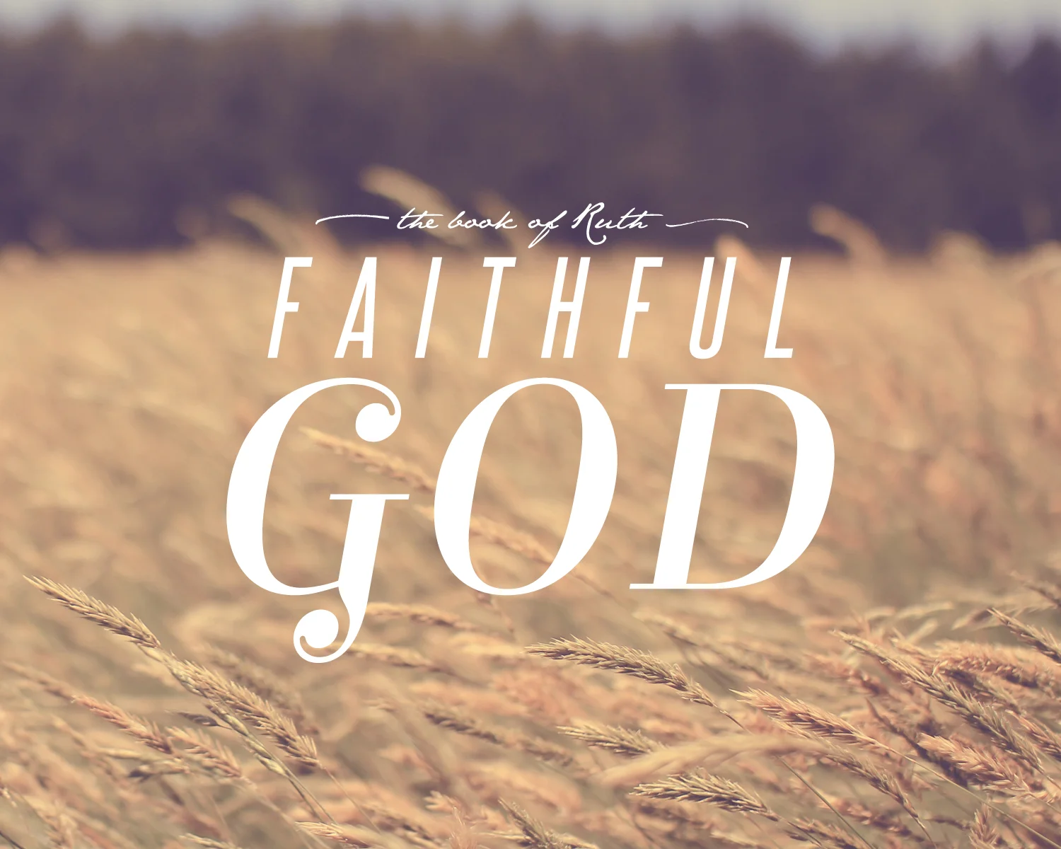 Ruth-Faithful God wheat.jpg