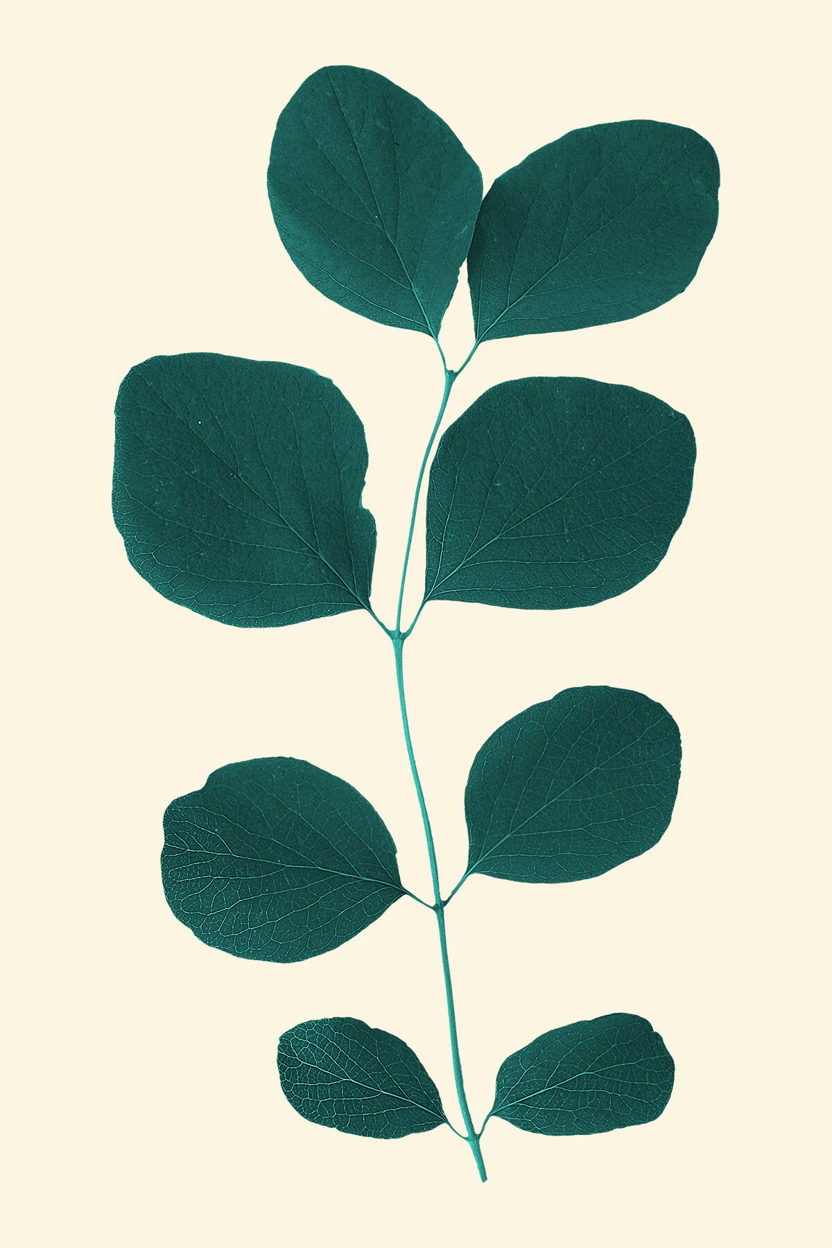 Valentine's Dinner - Individual Ticket