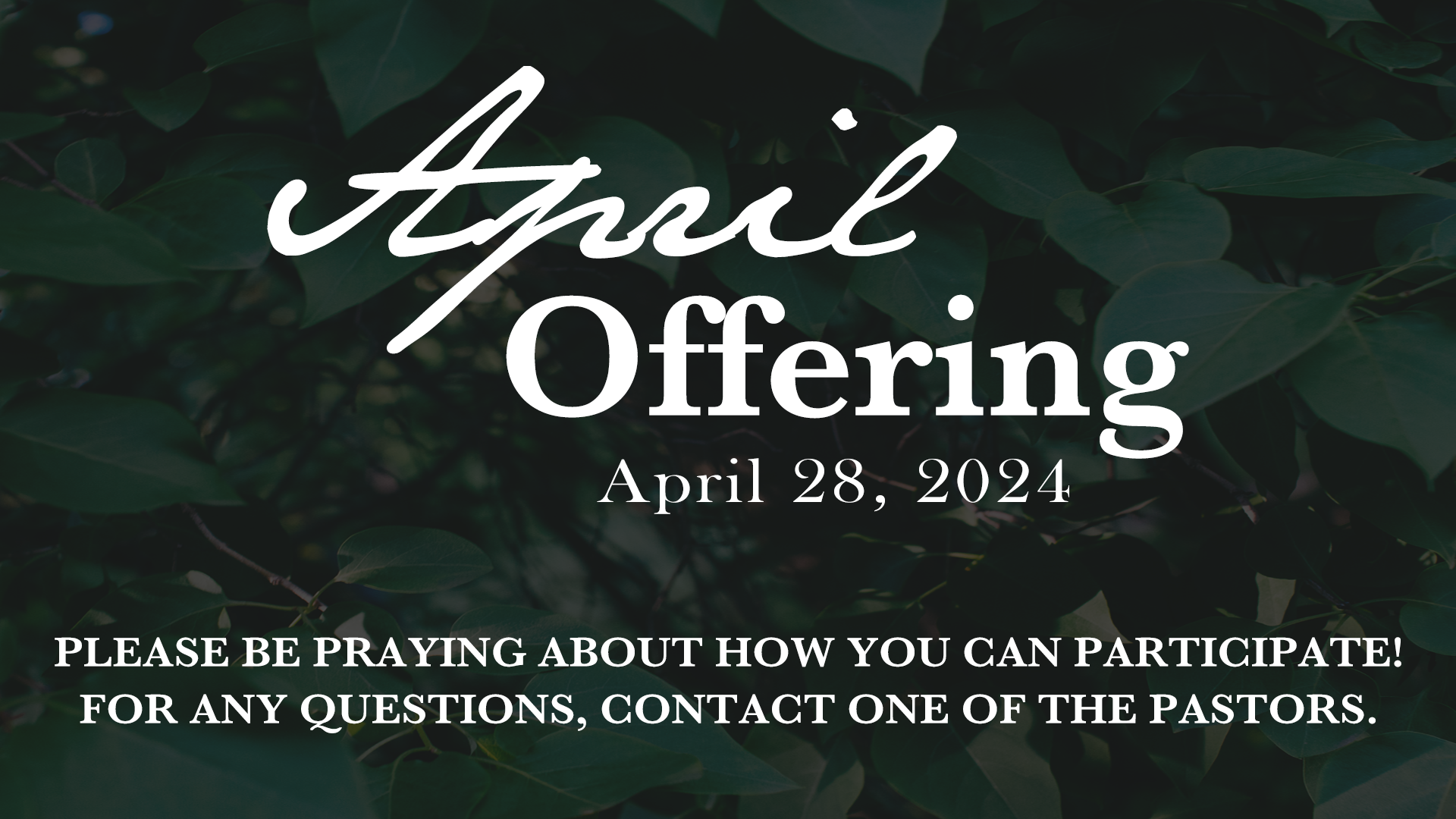 April Offering 2024 - WEB.png