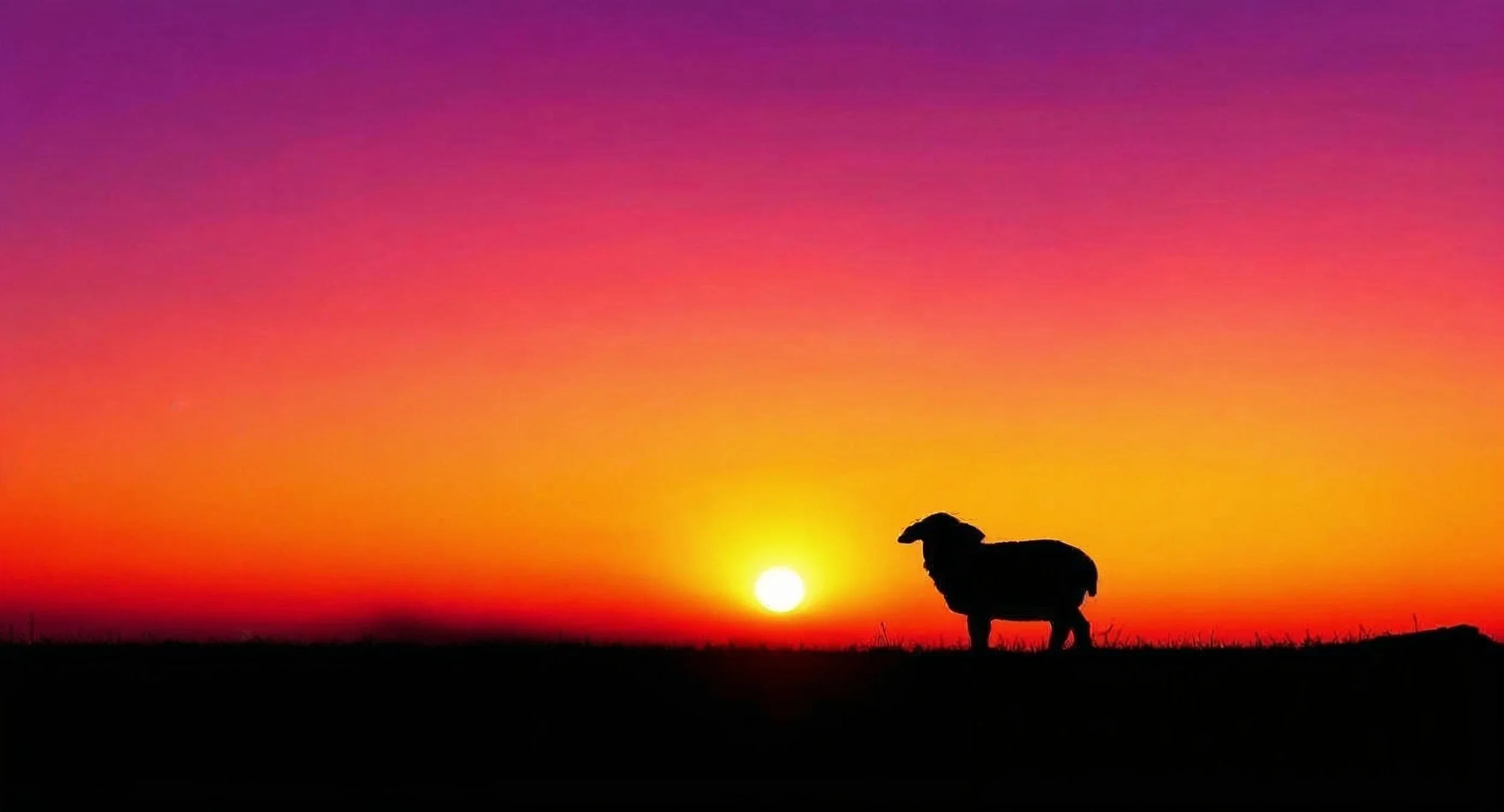 SERMON SPOTLIGHT  *  12/28/25