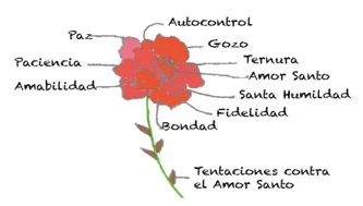 23jun11.rosa.jpg