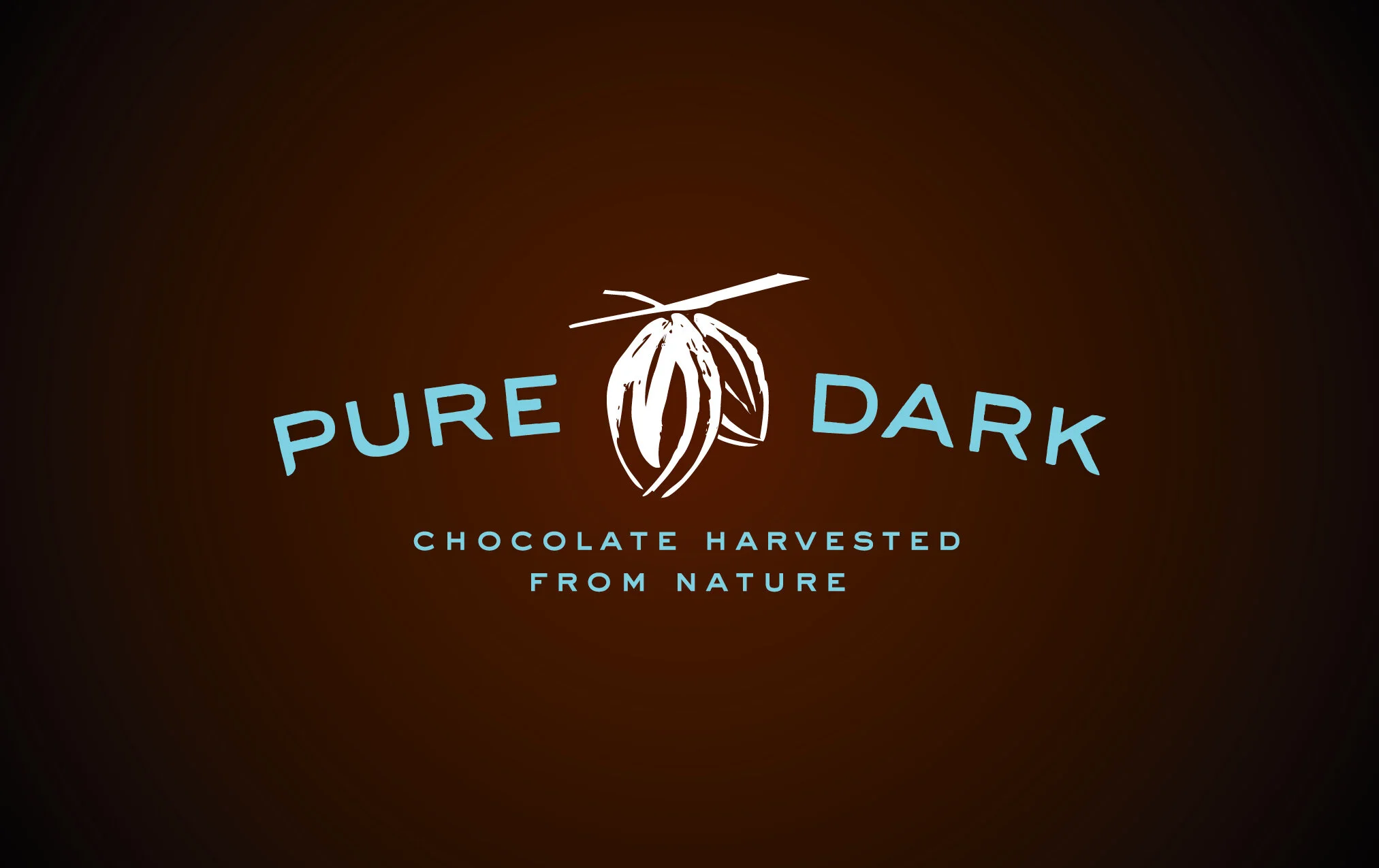 jylee_work_squarespace_2020_pure_dark4.jpg