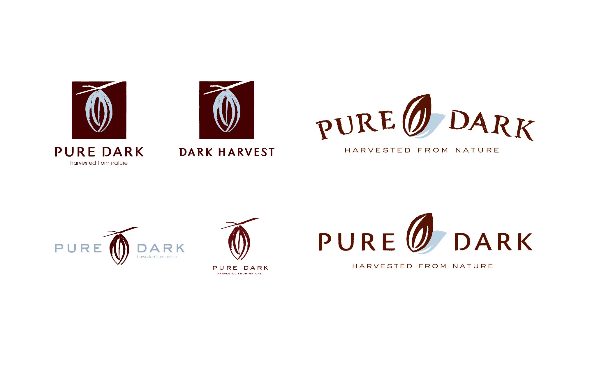 jylee_work_squarespace_2020_pure_dark3.jpg