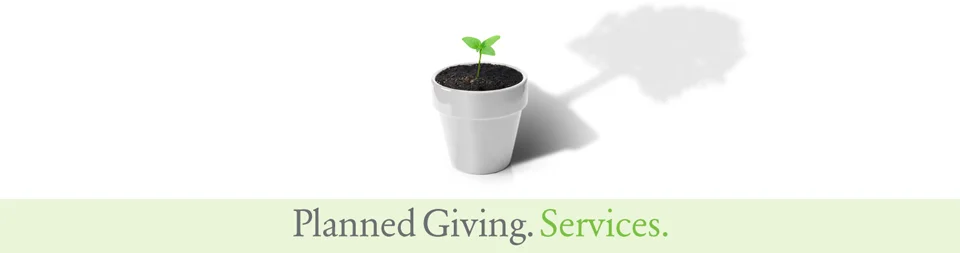 PG_Services.jpg