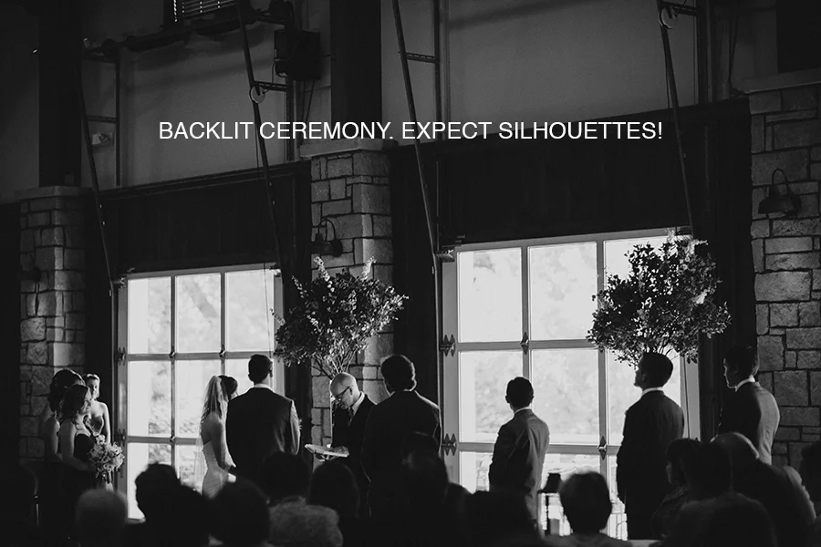 backlit.jpg