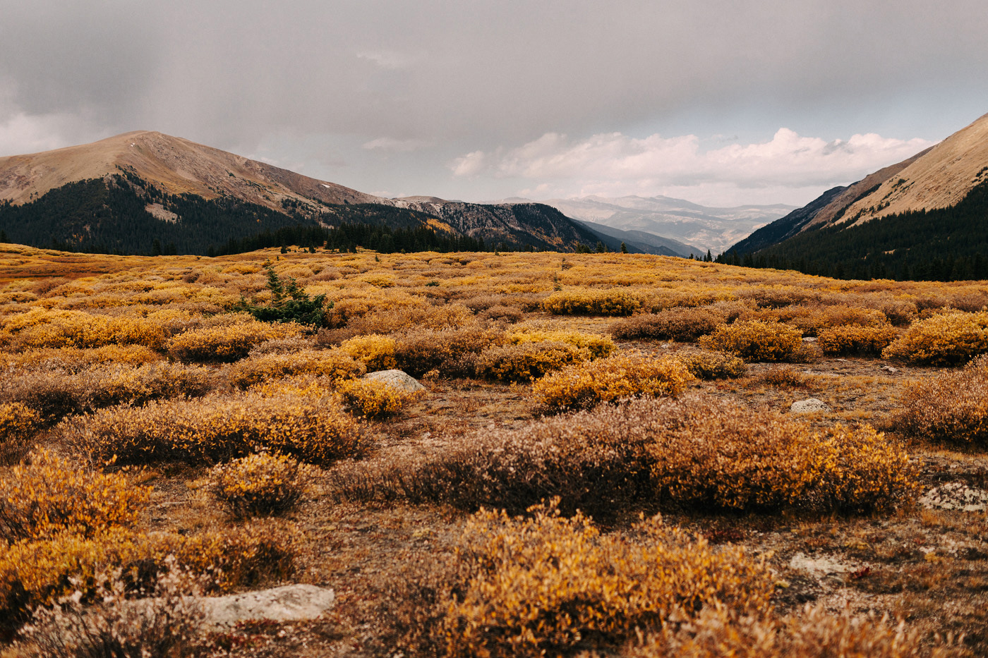 colorado denver boulder intimate DIY fall hipster rocky mountain