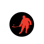 ALLBUMPZ_withoutbleed_hockey.png