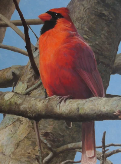 Cardinal Pride lores.jpg