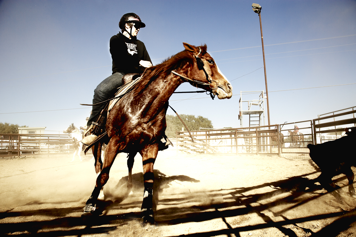 TeamPenning-009286 2-19.jpg
