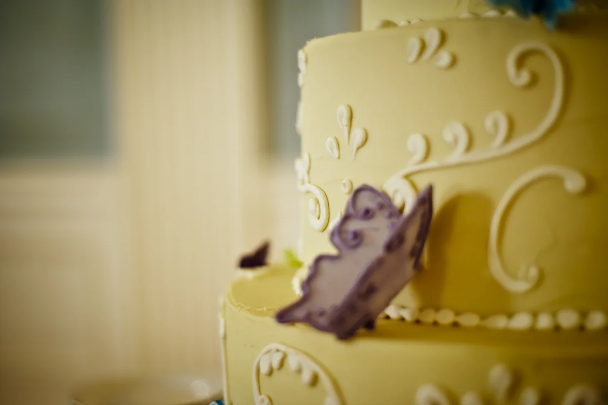 Ed-Liath-wedding-008670-7.jpg