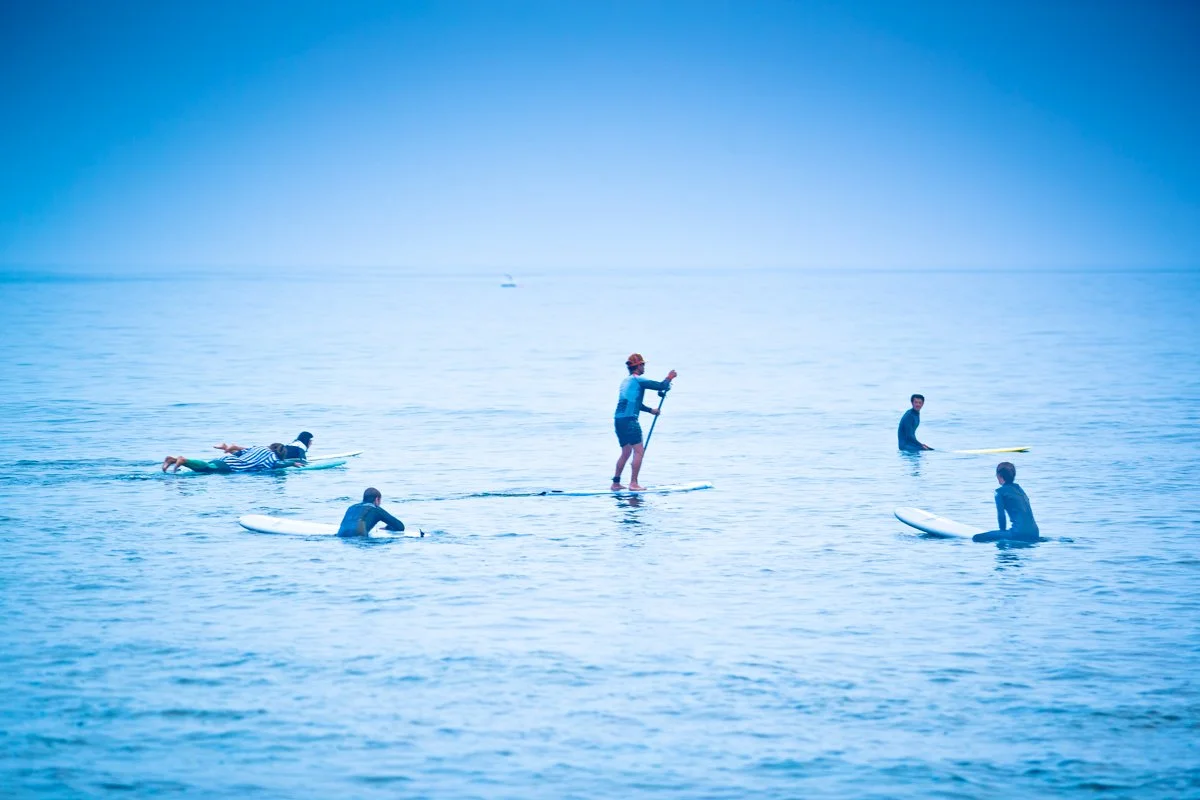 surf-10095.jpg