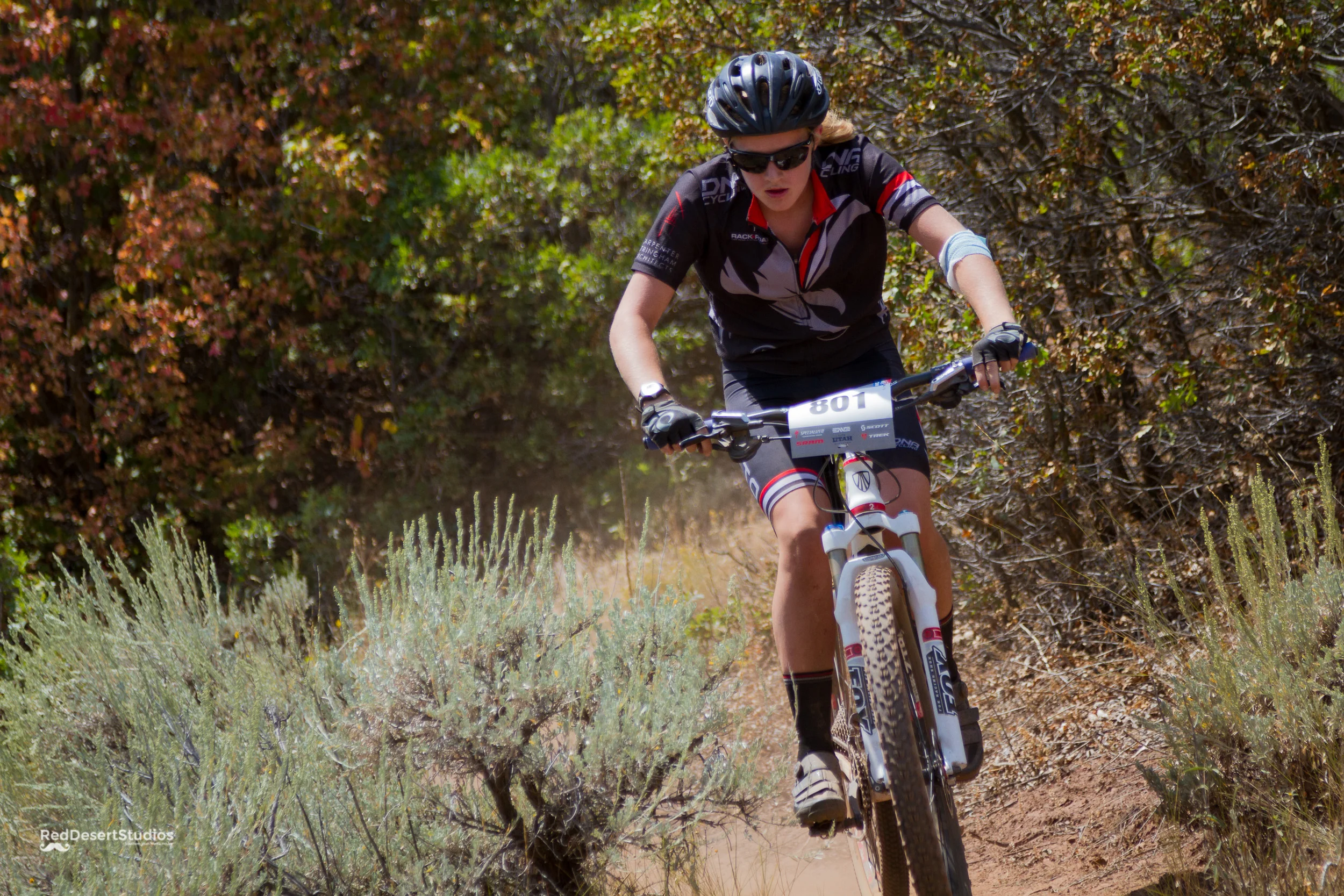 801 Web (2 of 11).JPG