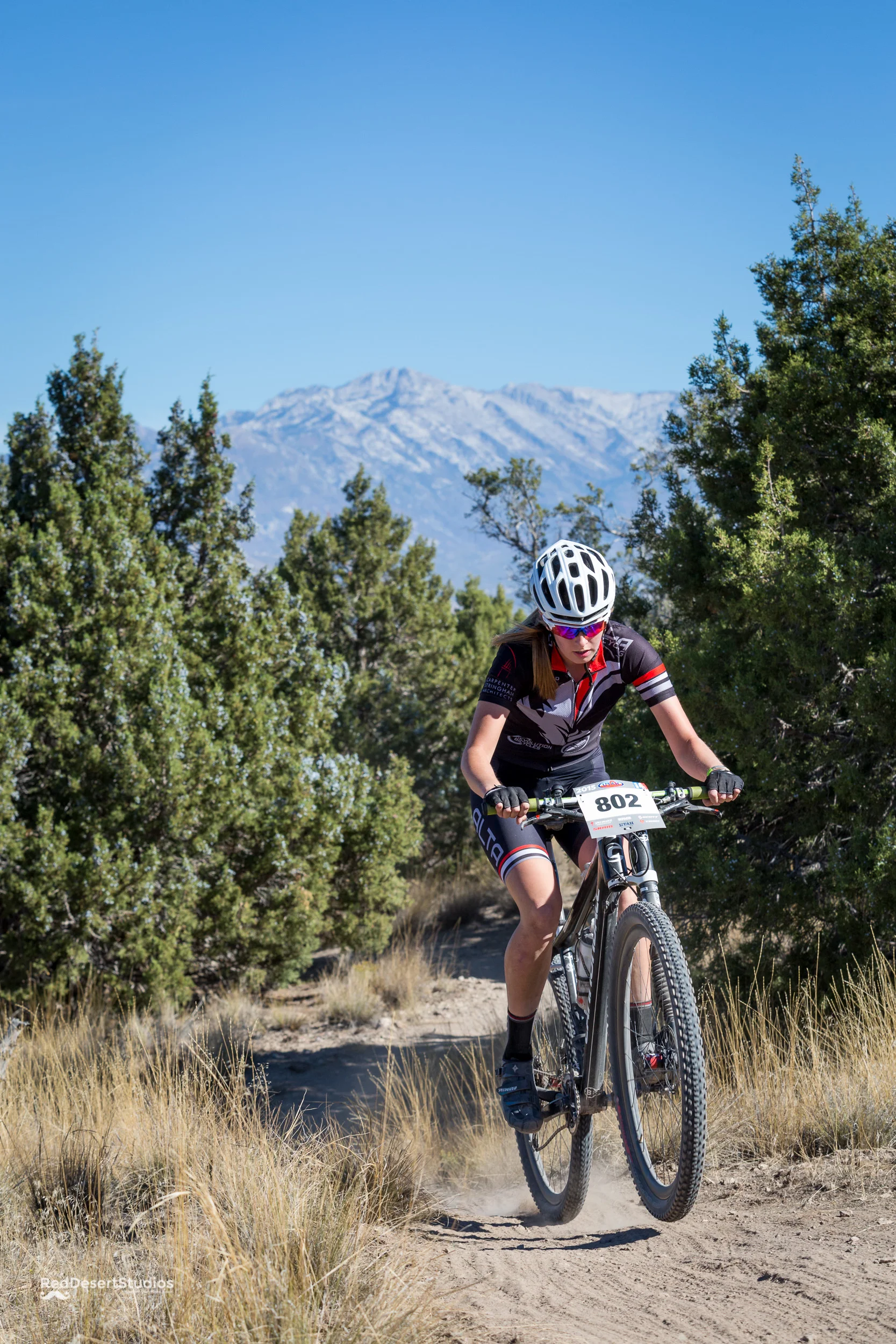 802 Web (6 of 10).JPG