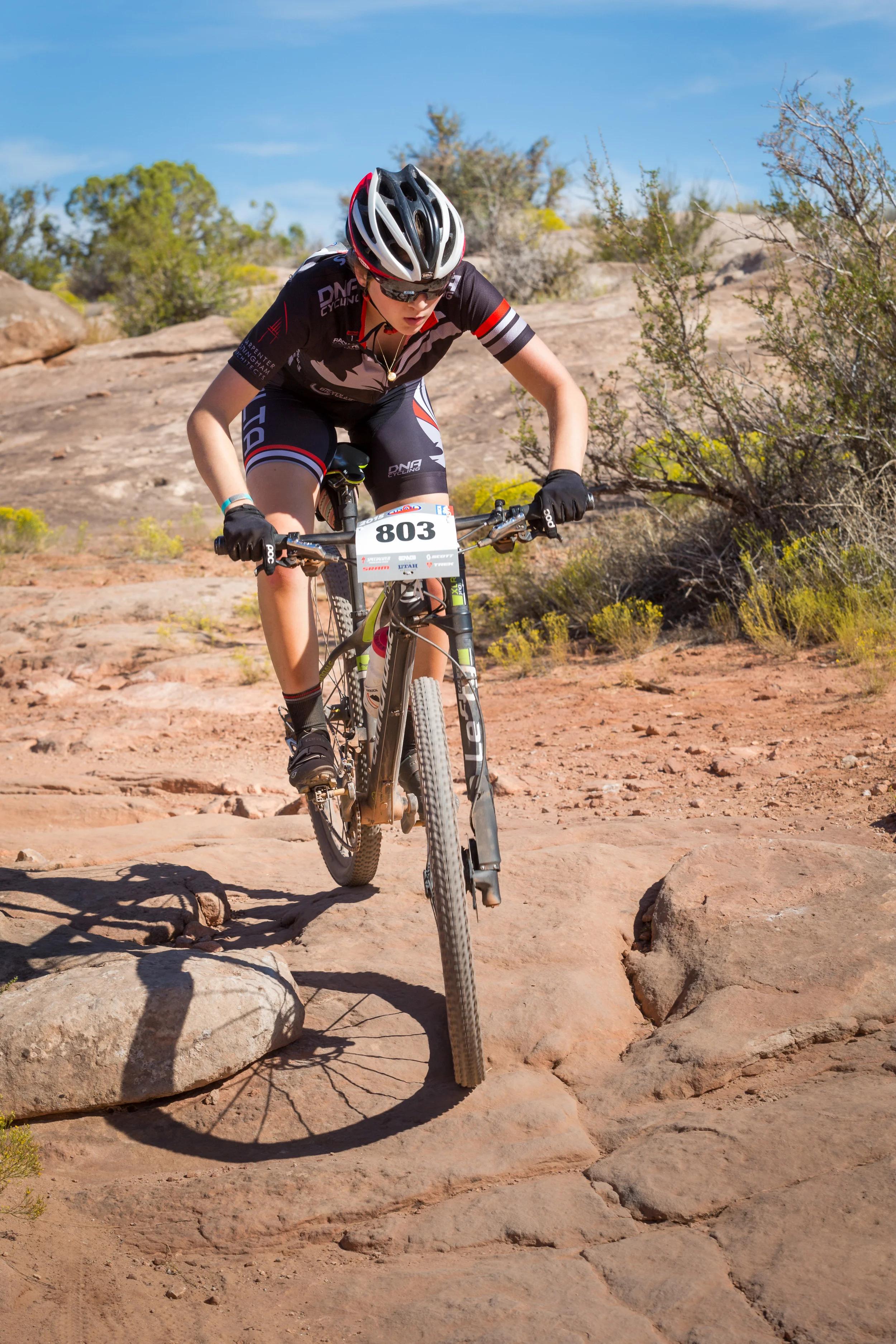 803 Web (3 of 11).JPG