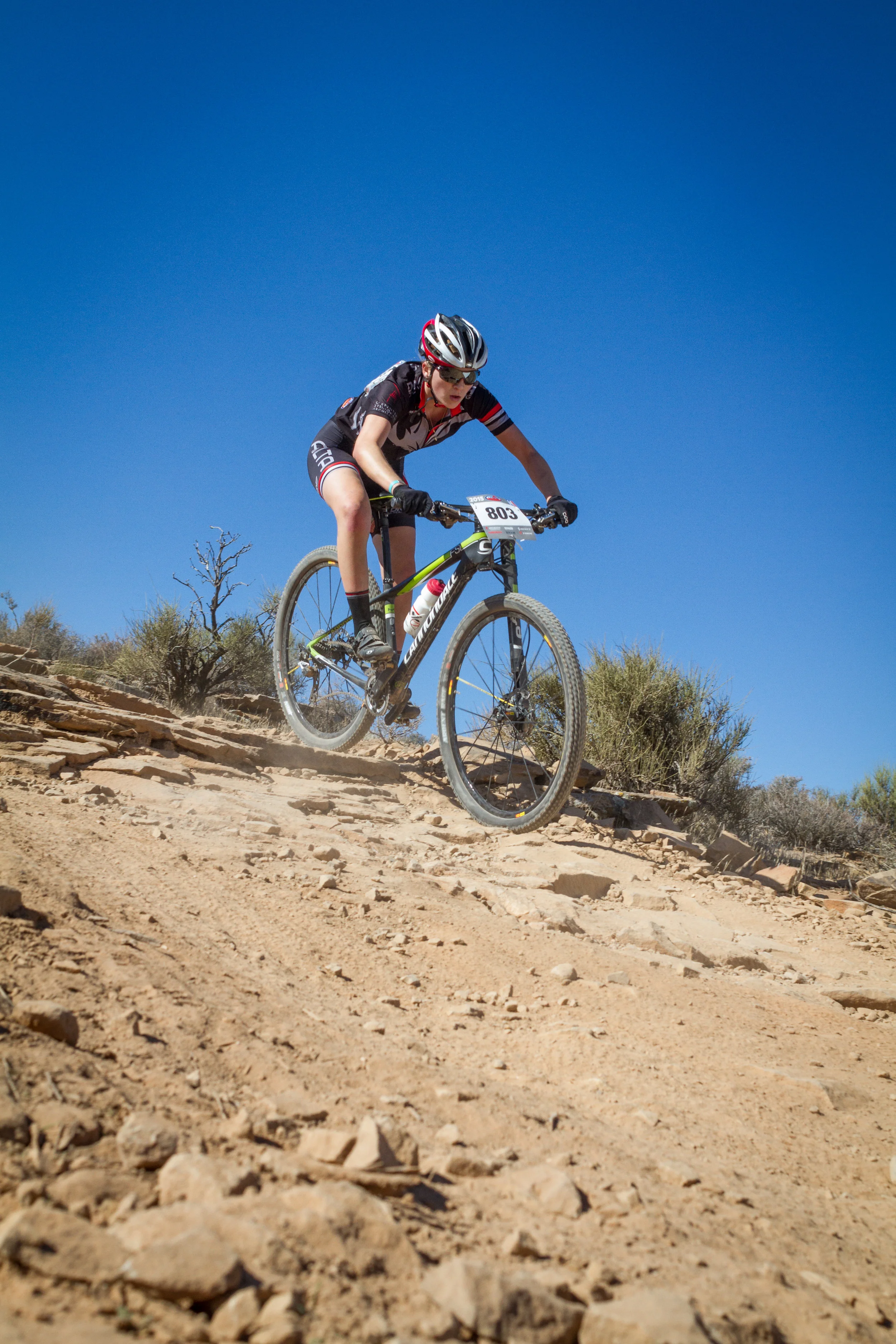 803 Web (11 of 11).JPG