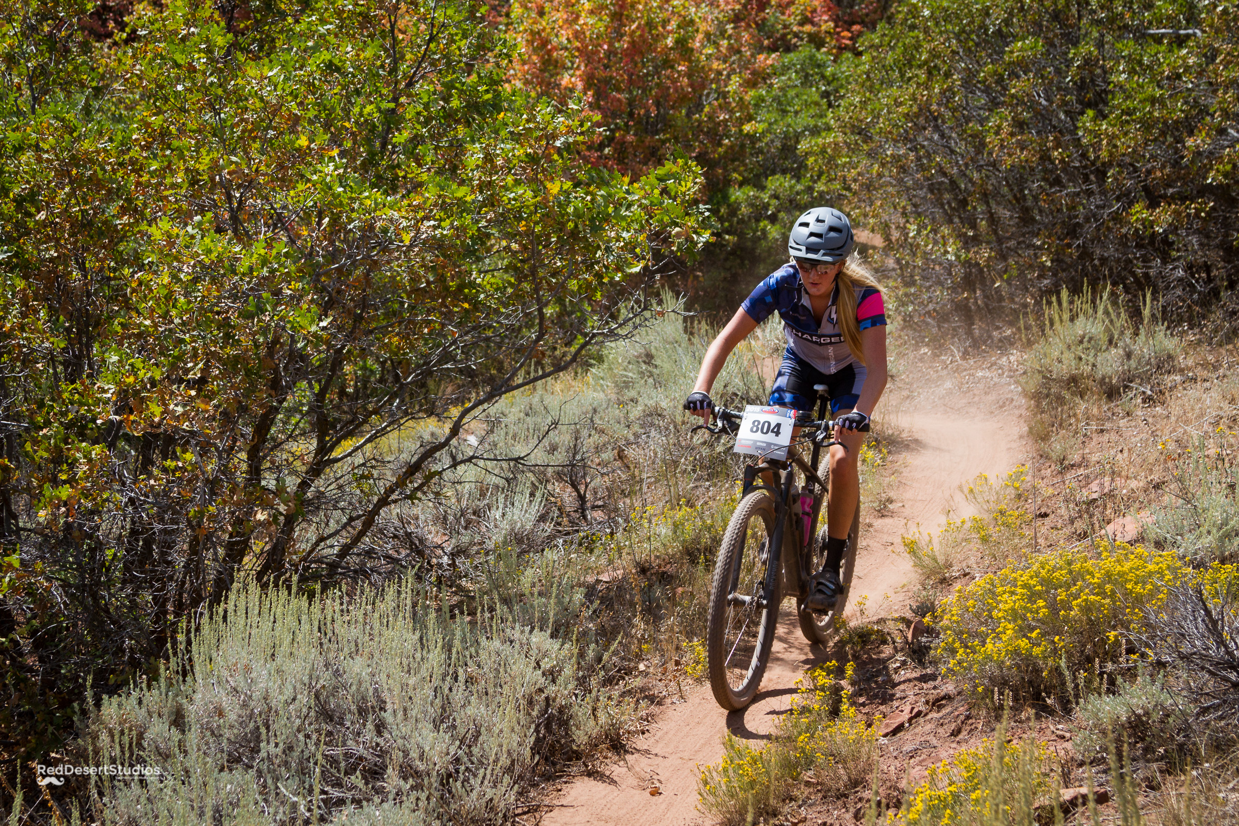 804 Web (2 of 8).JPG