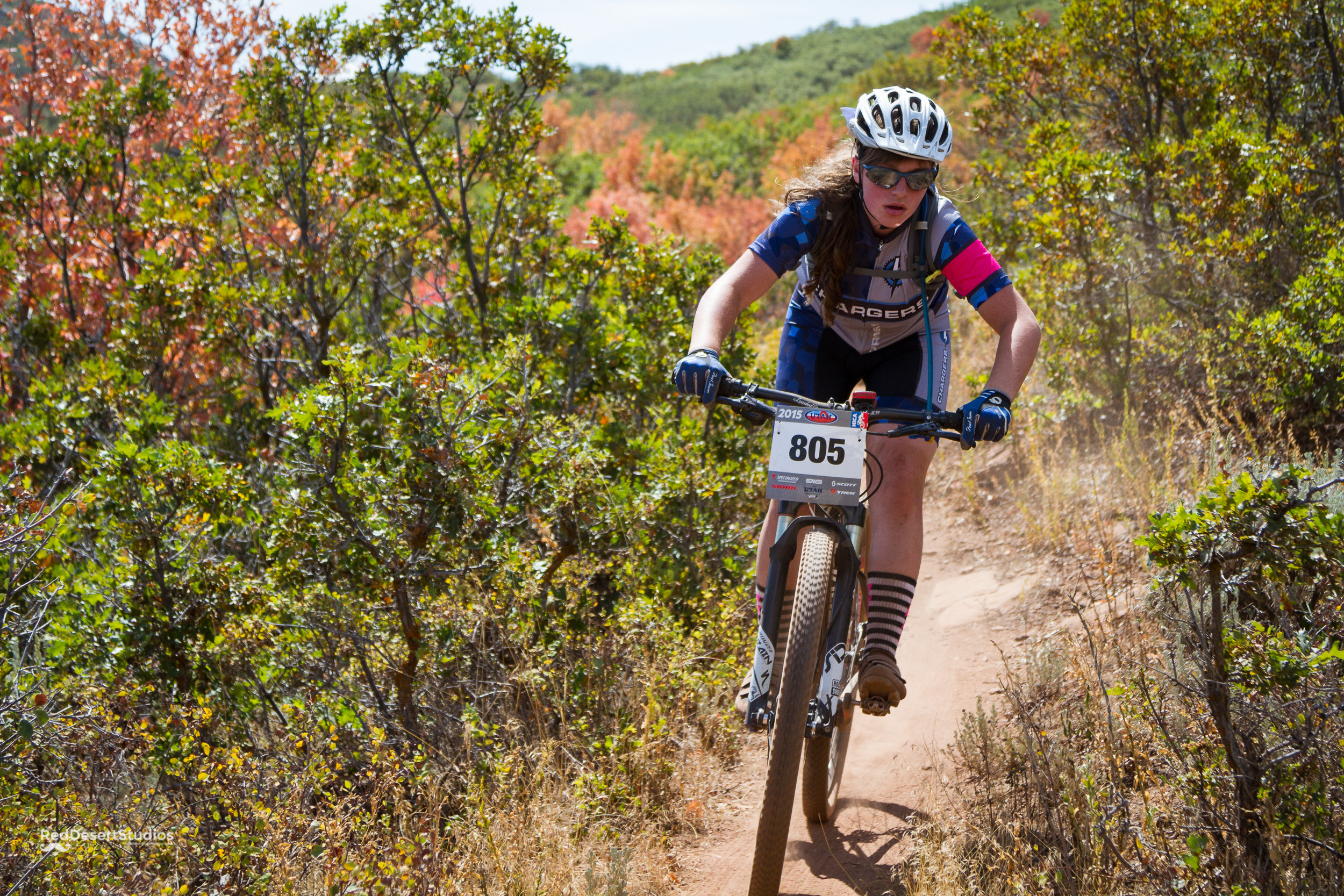 805 Web (2 of 15).JPG