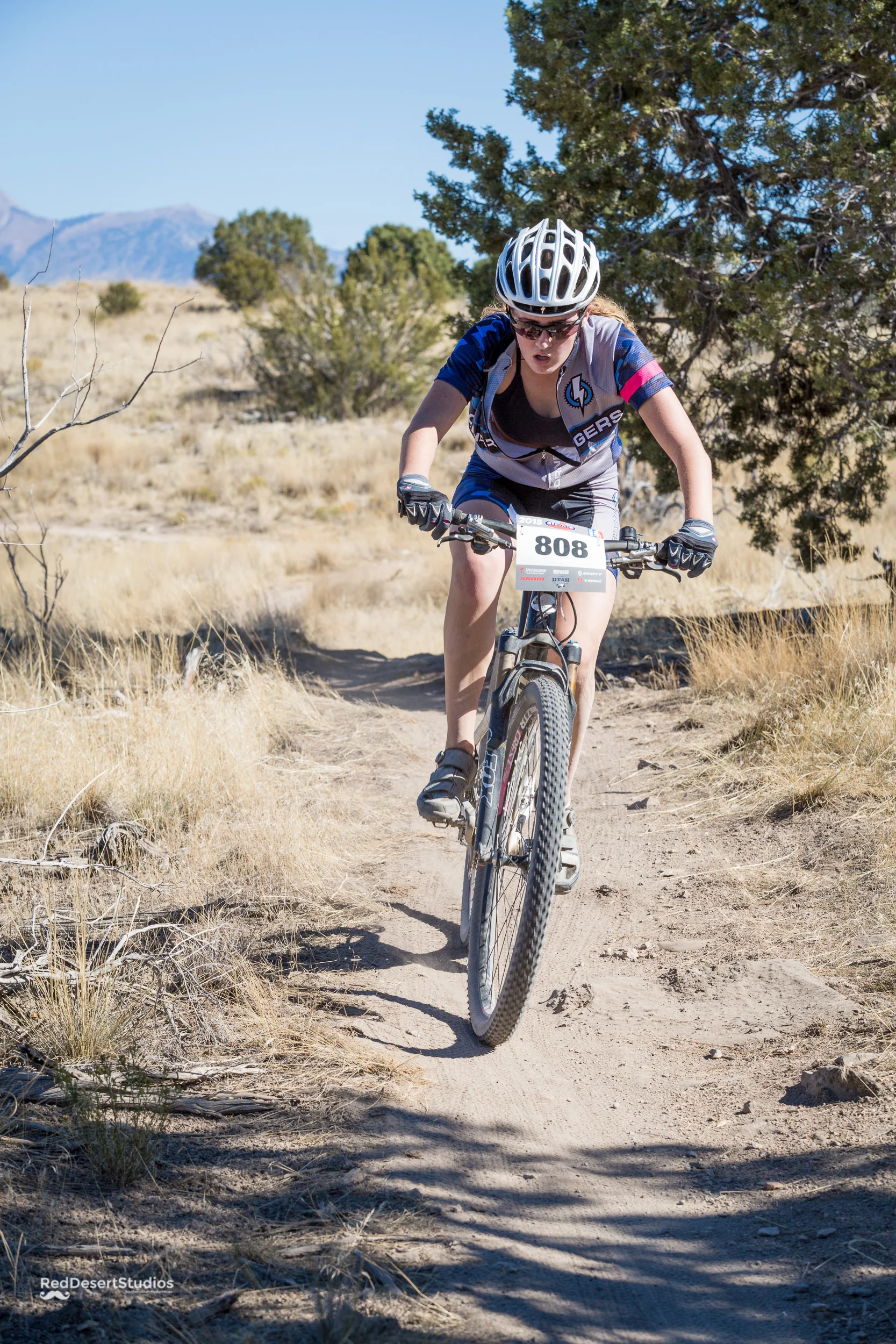 808 Web (8 of 11).JPG