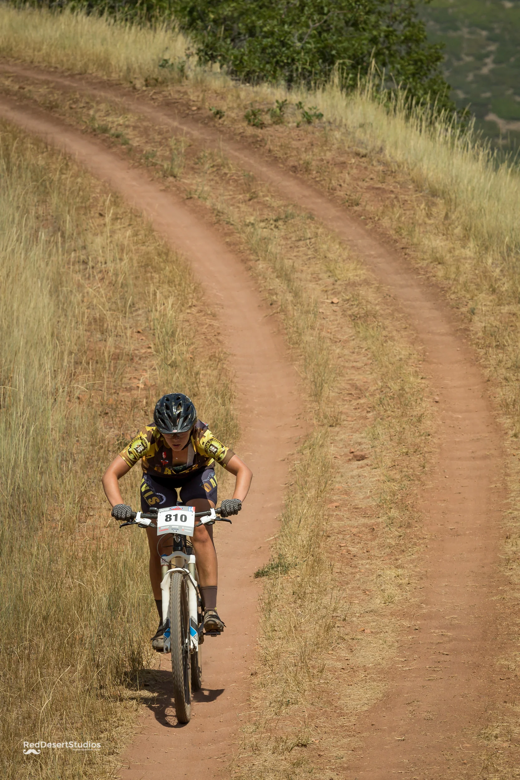 810 Web (1 of 11).JPG